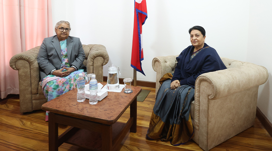 चुनावको राम्रो तयारी गर्न प्रधानमन्त्रीलाई भण्डारीको सुझाव