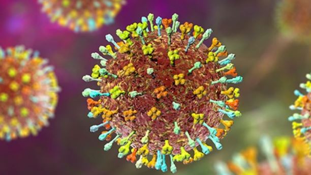 भारतमा सङ्क्रमण बढेपछि सरकारले बनायो निपा भाइरस परीक्षण