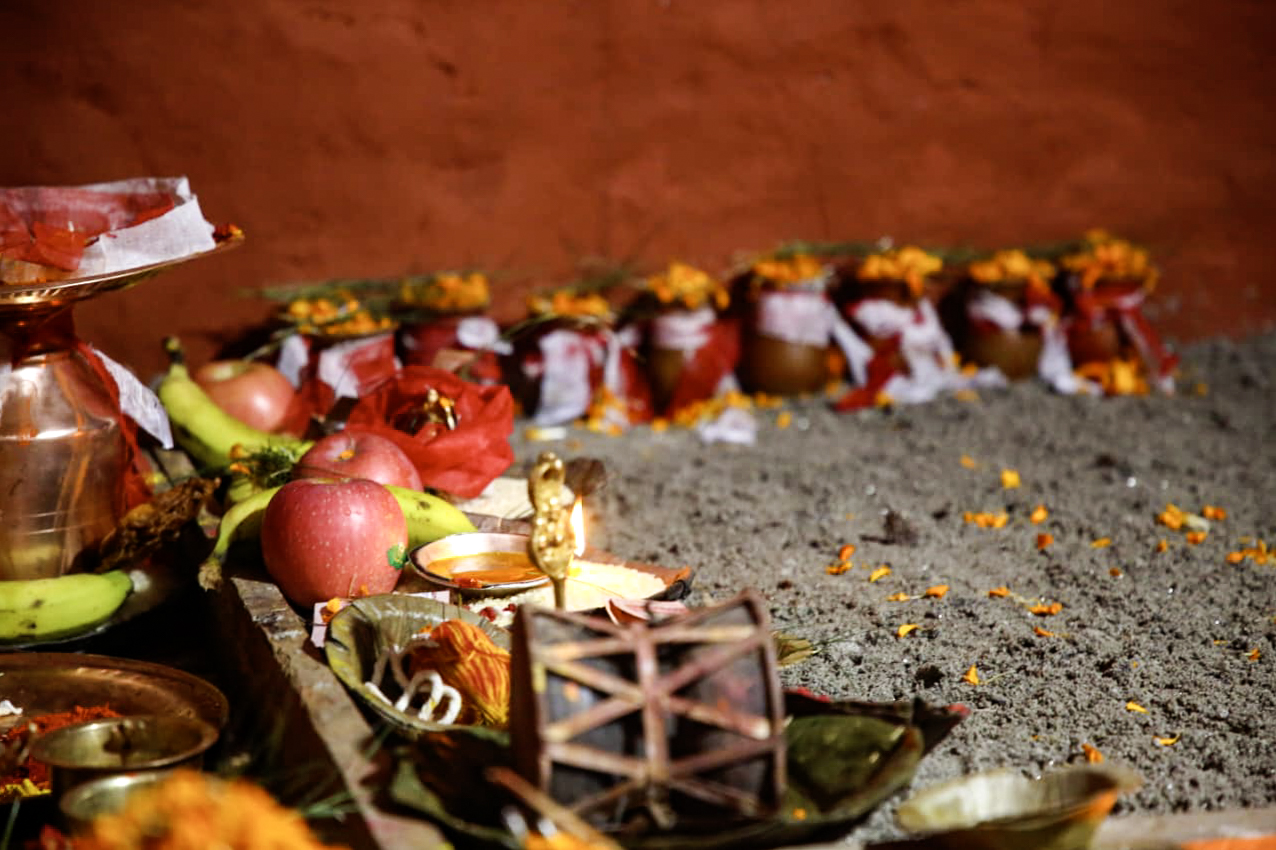 हनुमानढोकाको दशैँघरमा विधिपूर्वक जमरा राखियो
